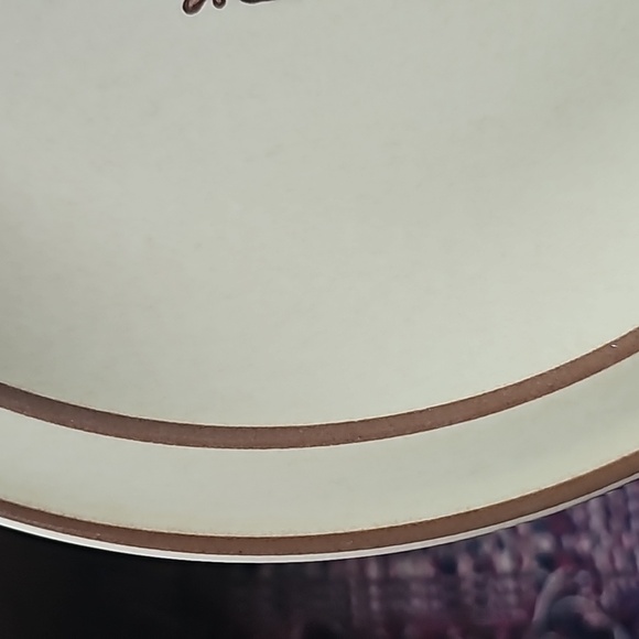 Pfaltzgraff Village Dinner Plate - Picture 4 of 6